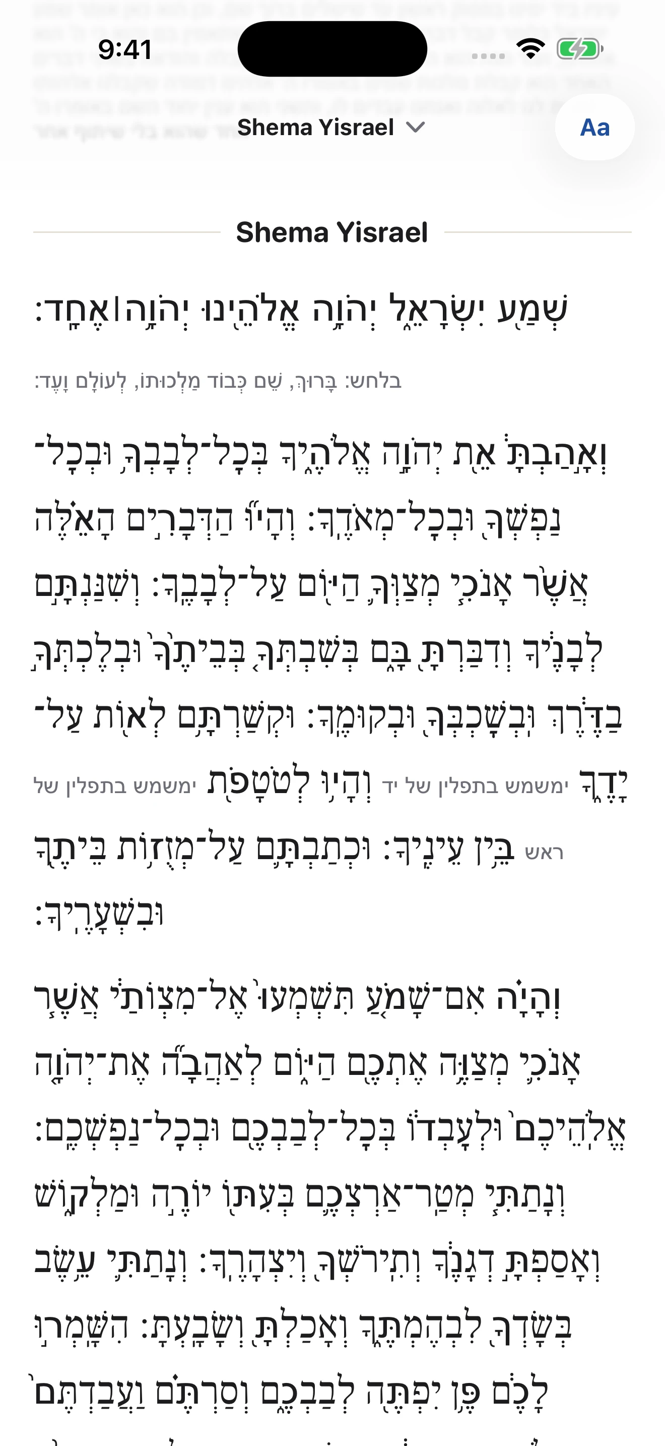The Hebrew prayer reader